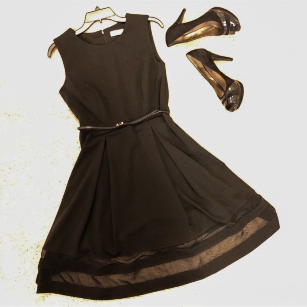 Calvin Klein Mesh Fit & Flare Dress